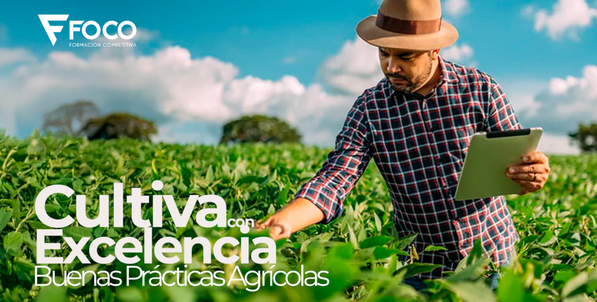 15. Cultiva con Excelencia.png